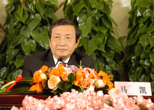 馬凱駁中國經濟威脅論 稱去年經濟增長代價大