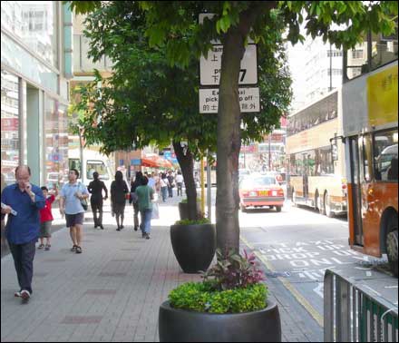 香港細節之綠化意識(組圖)