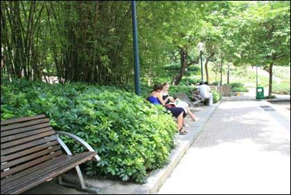 香港細節之綠化意識(組圖)