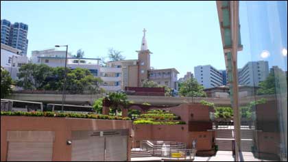 香港細節之綠化意識(組圖)