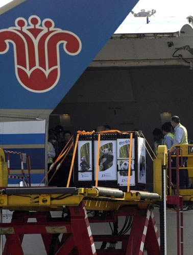 贈港大熊貓盈盈、樂樂