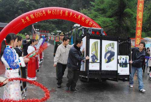 贈港大熊貓盈盈、樂樂