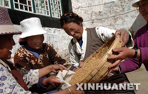 2005年3月7日，拉薩市城關區蔡公堂村女共產黨員扎桑（右二）同村里婦女一起準備春播用的青稞種子。西藏農村婦女黨員組建“巾幗文明服務隊”、“巾幗建筑隊”、西藏婦女發展協會等組織，成為農民脫貧致富的引路人。 新華社發 