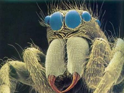 至今為止十大宇宙未解之迷