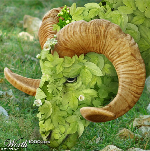 知名藝術網站擺圖片設計擂臺賽（組圖）