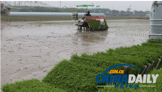 韓國2012年城鄉收入差距超12萬元 創歷史新高