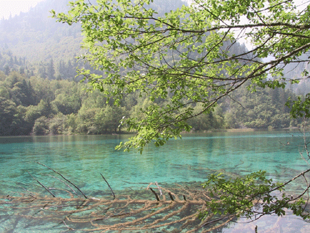 阿壩奮力建成中國西部民族地區旅游發展經濟高地