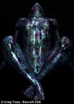 組圖：美國藝術家創作惟妙惟肖人體彩繪