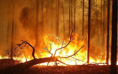 俄酷熱天氣已奪命5000 莫斯科打響大火“保衛(wèi)戰(zhàn)”