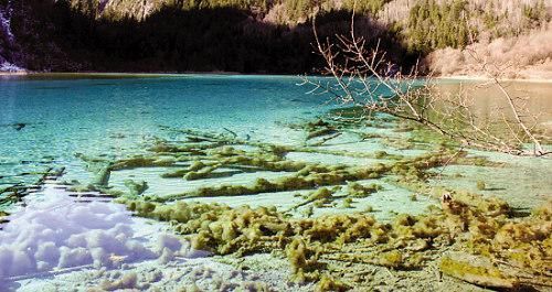 另類九寨溝：紅葉與初雪的浪漫約會
