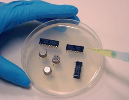 瑞典研究人員讓活細(xì)胞像電子電路一樣彼此通訊