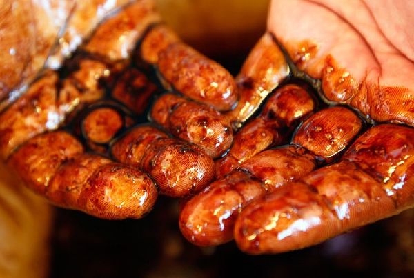 盤點(diǎn)2010年國際社會十大悲歡離合