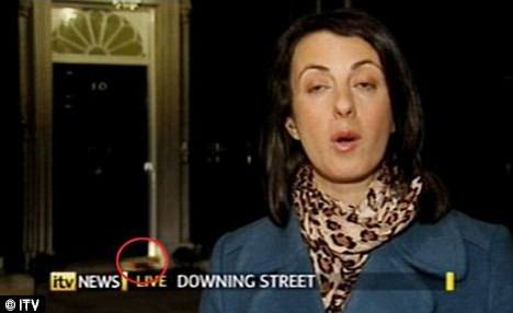 不堪老鼠侵擾 英國首相府欲招“公務貓”