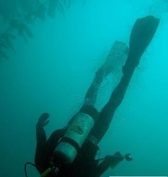 怪！世界竟有如此奇特的過年習俗(組圖)