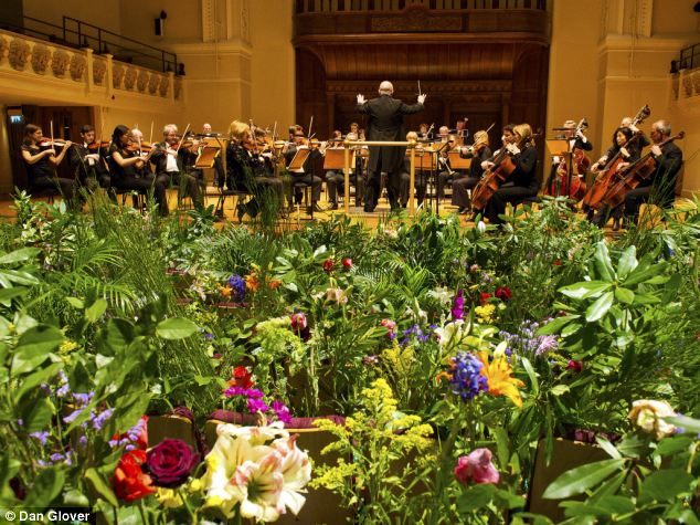 植物喜聽古典音樂？英皇家愛樂對“花”彈琴3小時