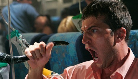 航班蛇患險些上演！走私犯手提行李暗藏40條蟒蛇