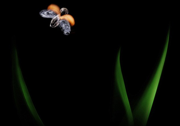 奇妙的作品!俄藝術家用火柴與火苗創造動物形象