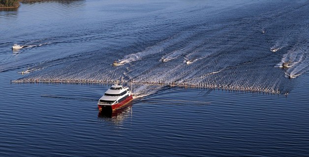 圖:145人在澳大利亞同時滑水刷新世界紀錄