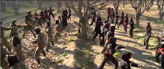 伊朗現有3000多名女忍者 西媒稱必要時可組成衛國武裝