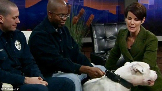 美國女主持直播中“采訪”烈犬嘉賓 被咬傷嘴唇送醫院