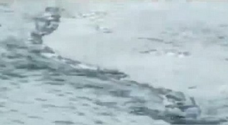 冰島百年水怪今日終現身？盤點幽藍世界詭異“怪獸”