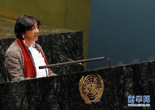 聯(lián)大就敘利亞問題舉行全會