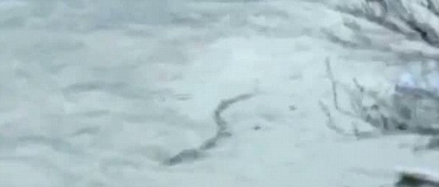 冰島水怪竟是破漁網? 網友連喊“被忽悠”!