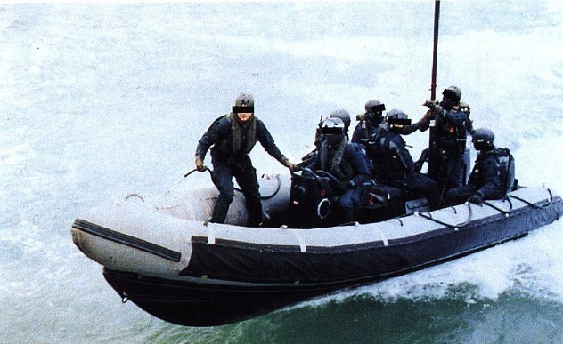 英特種兵尼日利亞營(yíng)救行動(dòng)失敗 英意兩人質(zhì)遭綁匪殺害