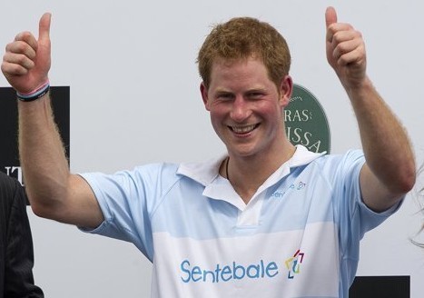 “我的王妃在哪里？” 皇家生活非童話王子哈里很發愁