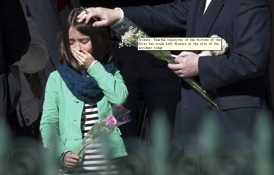 瑞士車禍發生時司機在放DVD盤？部分遇難學生照片公布
