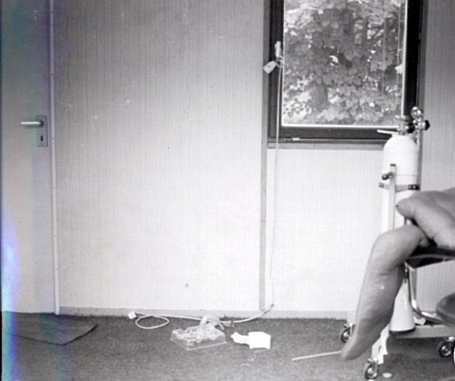 希特勒接班人死于謀殺?新解密文件顯露自殺案重重疑點