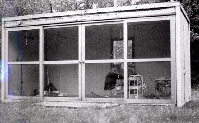 希特勒接班人死于謀殺?新解密文件顯露自殺案重重疑點