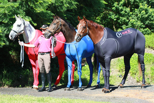 倫敦奧運會參賽馬或穿專門服裝 可助其迅速恢復(fù)體力