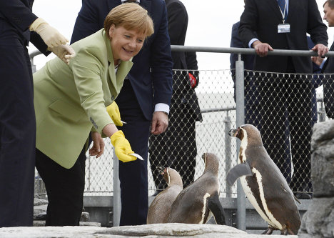 德國總理默克爾開會“忙里偷閑”喂企鵝