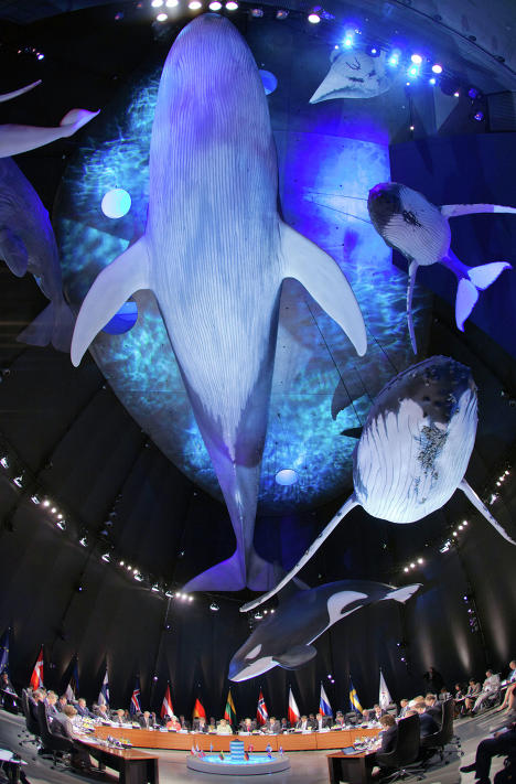 德國總理默克爾開會“忙里偷閑”喂企鵝