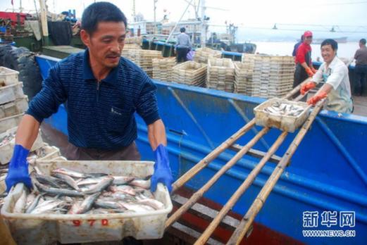 我國東海區5萬多艘漁船今日起全面休漁