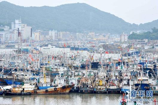 我國(guó)東海區(qū)5萬(wàn)多艘漁船今日起全面休漁