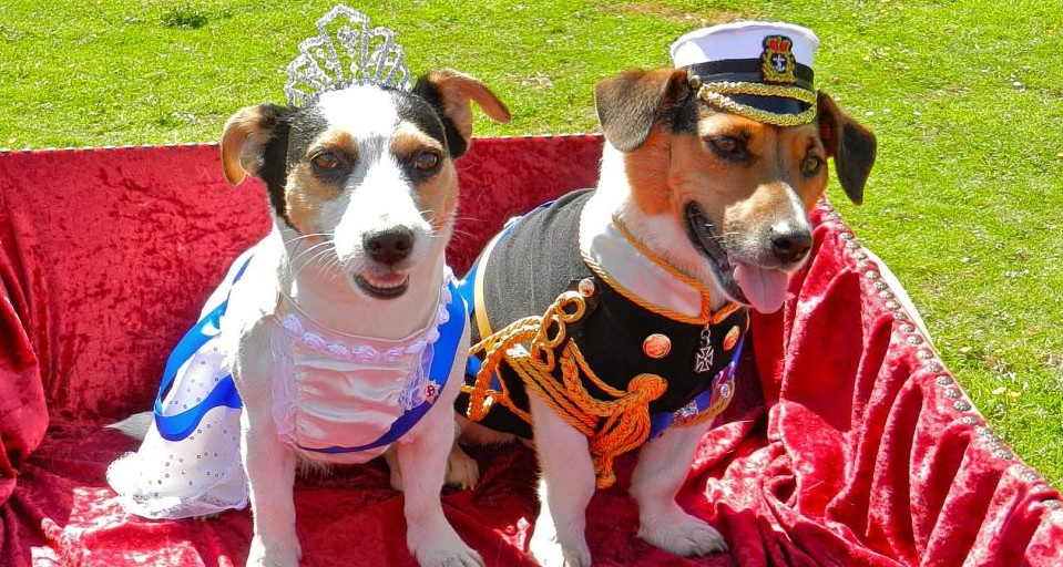 英民眾歡慶女王登基60年 旗幟飄揚(yáng)、眼鏡蛋糕熱銷