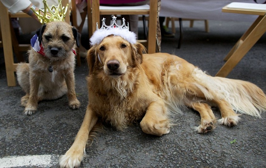 英民眾歡慶女王登基60年 旗幟飄揚(yáng)、眼鏡蛋糕熱銷(xiāo)
