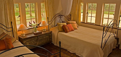 肯尼亞長頸鹿主題酒店萌翻天 游客可與其同吃同住