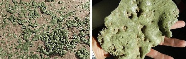 1.2萬年前巖石中存在熔化玻璃 或成史前人類動(dòng)物滅絕原因新證