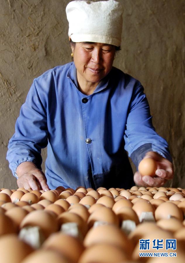 “三西”扶貧記