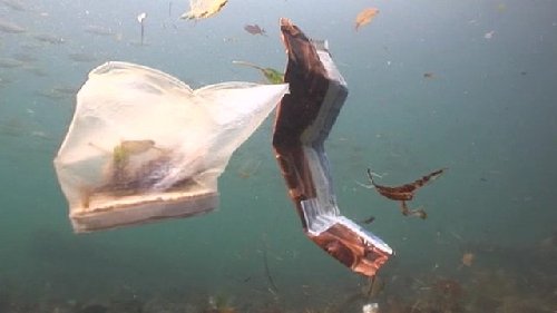 圖:悉尼港海底覆蓋“垃圾地毯” 累積200年清理難