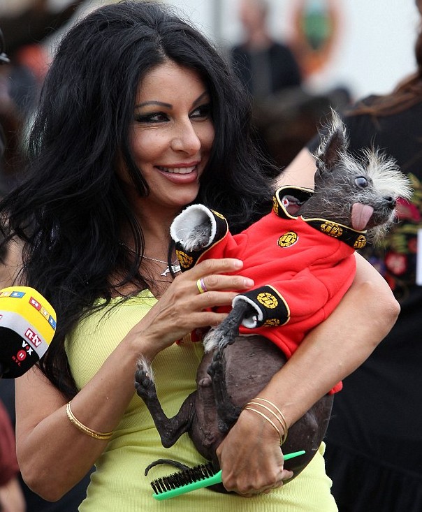 眼睛突出鼻子短粗 世界最丑狗大賽中國冠毛犬奪魁