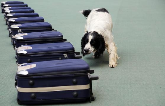 各地開展禁毒宣傳活動