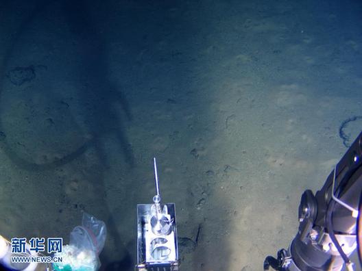 “蛟龍”號在7062米海底發現多種生物