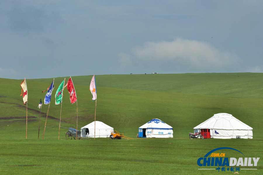 夏天的呼倫貝爾草原：綠色天堂