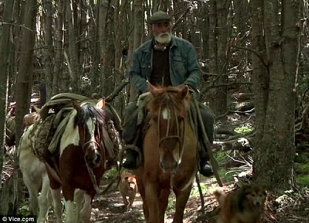 世界最孤獨牛仔：智利81歲老翁獨居深山46年