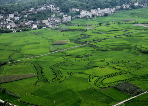 生態貴陽打造“綠色長城”