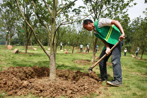 生態貴陽打造“綠色長城”